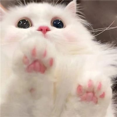Eko Prasetyo avatar